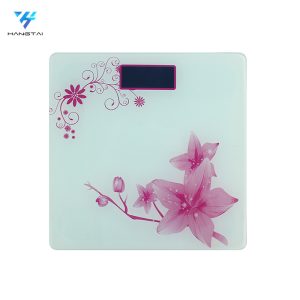 Body Weight Scale HT-SC04