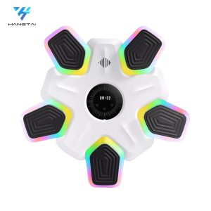 Boxing Machine HT-BT21